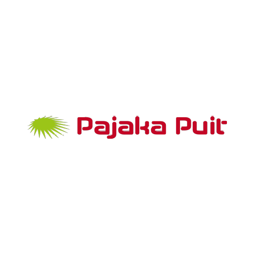 Pajaka-Puit-logo-2