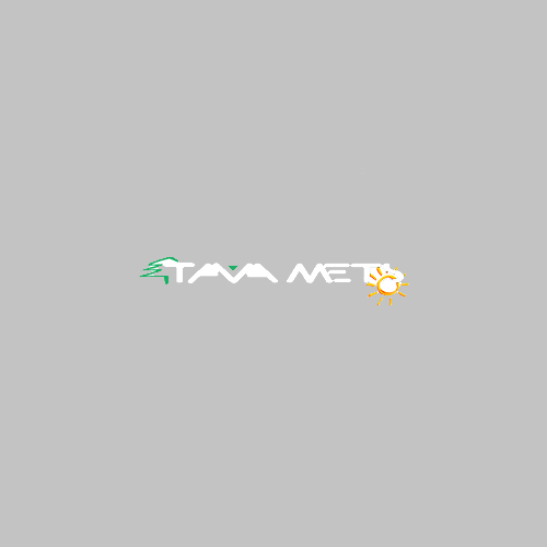 tavamets_logo