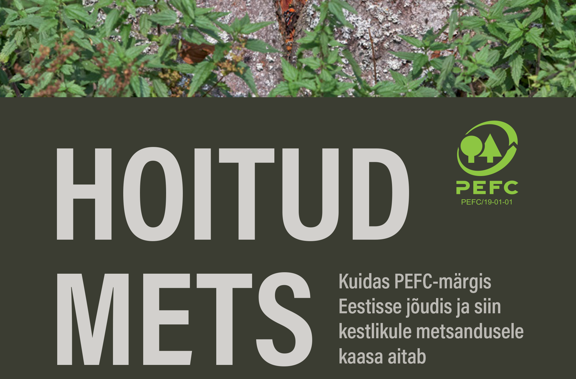 Veel trükisooja lugu jätkusuutliku metsanduse arengutest Eestis tutvustakse homme toimuval METSANDUSE VISIOONIKONVERENTSIL Tartus. PEFC-Eesti tegevjuht Eve Reba