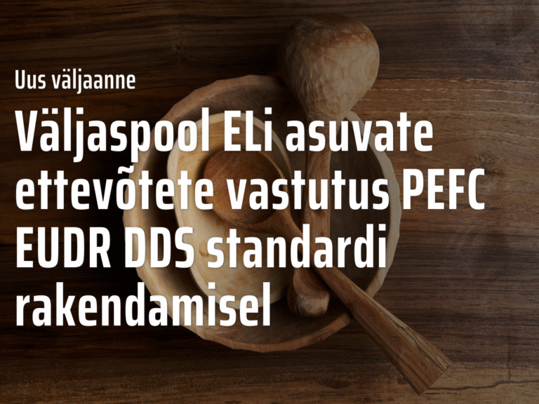 Non-EU company DDS document_website thumbnail